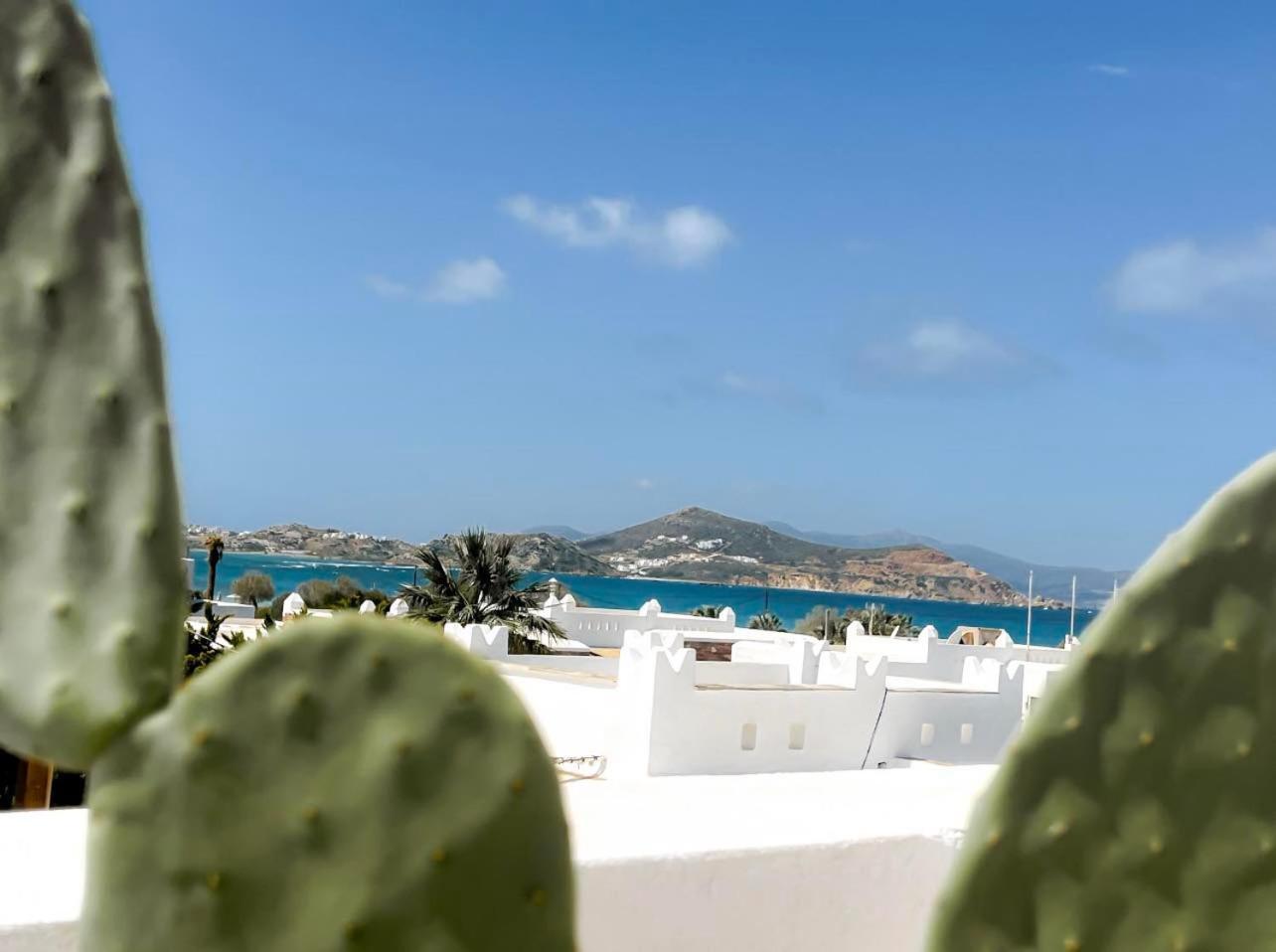 Sea View Casa Apartment Naxos City Luaran gambar